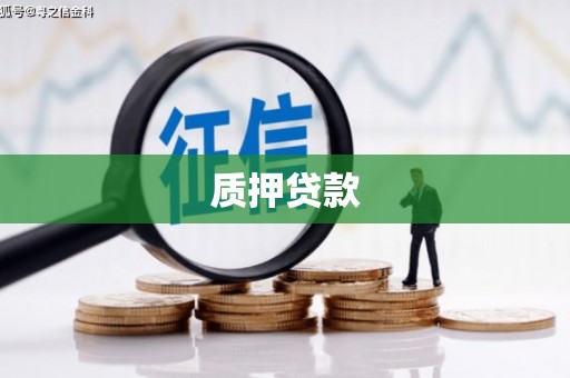 丹凤质押贷款