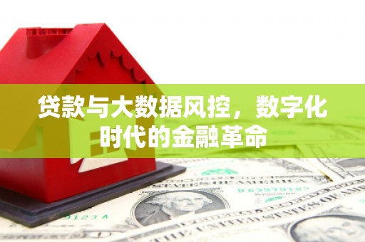 丹凤贷款与大数据风控，数字化时代的金融革命