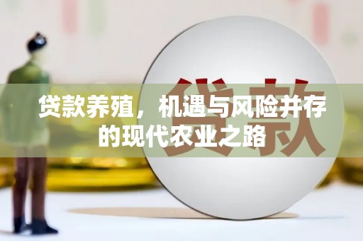 丹凤贷款养殖，机遇与风险并存的现代农业之路