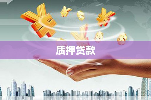 丹凤质押贷款