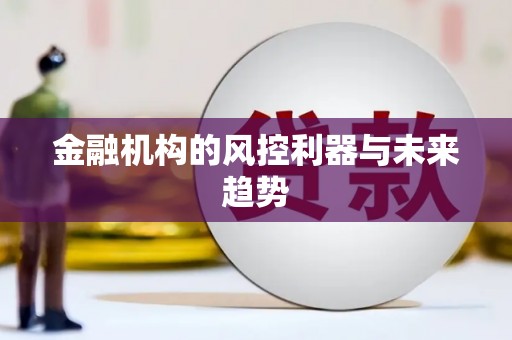 丹凤金融机构的风控利器与未来趋势