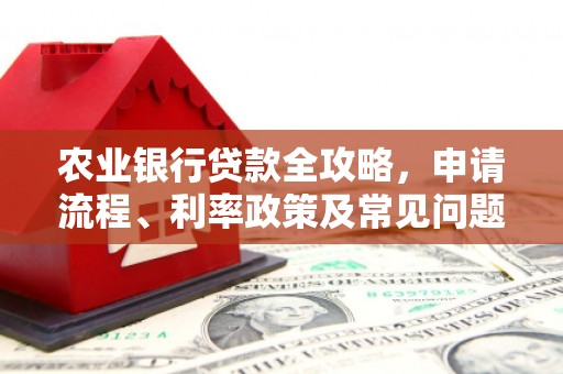 丹凤农业银行贷款全攻略，申请流程、利率政策及常见问题解析
