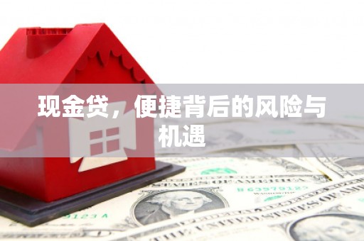 丹凤现金贷，便捷背后的风险与机遇