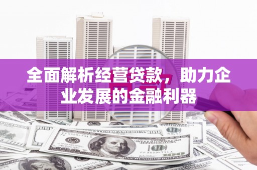 丹凤全面解析经营贷款，助力企业发展的金融利器