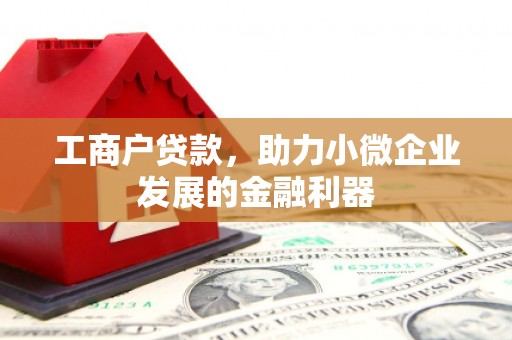 丹凤工商户贷款，助力小微企业发展的金融利器