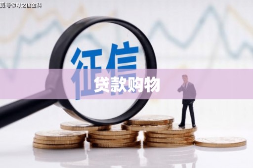 丹凤贷款购物