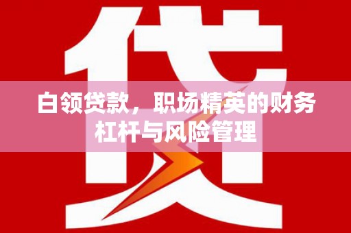 丹凤白领贷款，职场精英的财务杠杆与风险管理