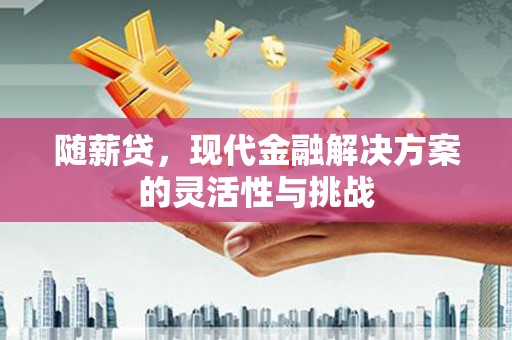 丹凤随薪贷，现代金融解决方案的灵活性与挑战
