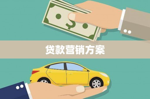 丹凤贷款营销方案