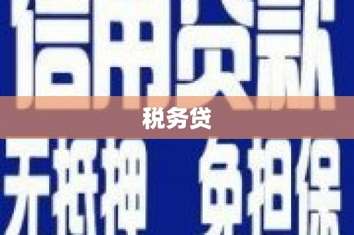 丹凤税务贷