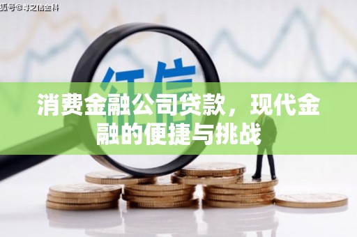 丹凤消费金融公司贷款，现代金融的便捷与挑战