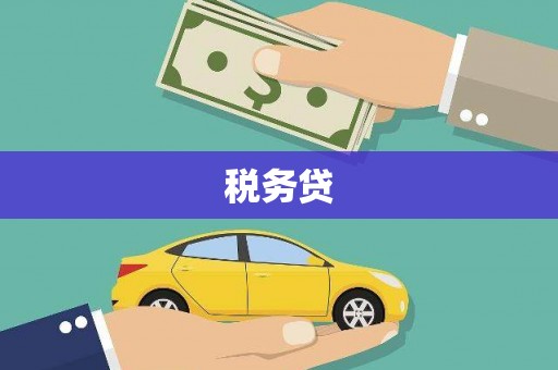丹凤税务贷
