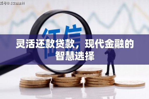 丹凤灵活还款贷款，现代金融的智慧选择