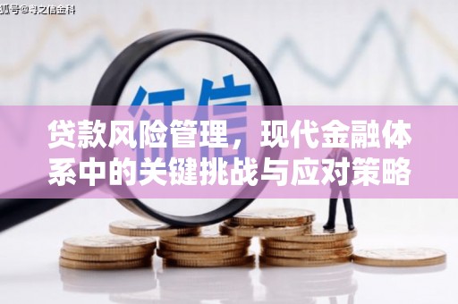 丹凤贷款风险管理，现代金融体系中的关键挑战与应对策略