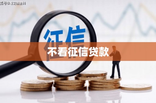 丹凤不看征信贷款