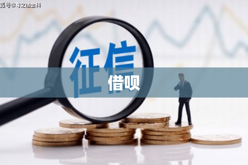 丹凤借呗