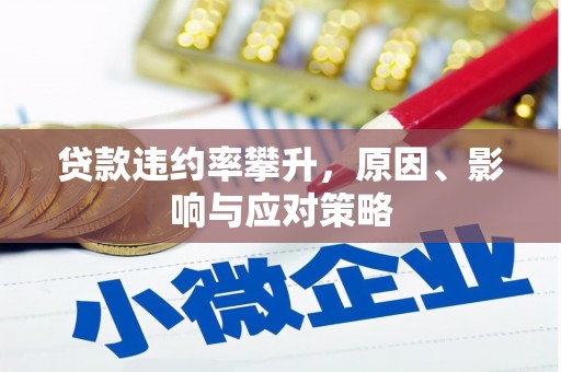 丹凤贷款违约率攀升，原因、影响与应对策略