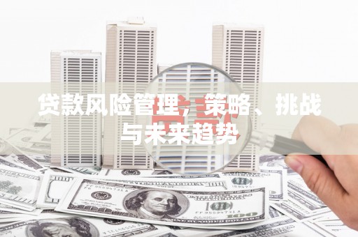 丹凤贷款风险管理，策略、挑战与未来趋势