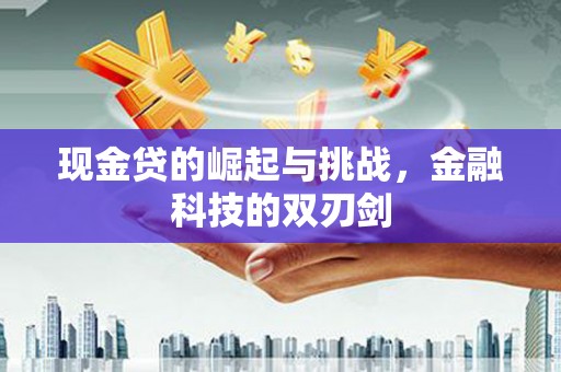 丹凤现金贷的崛起与挑战，金融科技的双刃剑