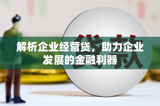 丹凤解析企业经营贷，助力企业发展的金融利器