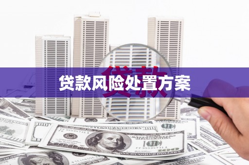 丹凤贷款风险处置方案