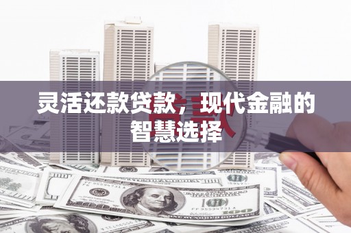 丹凤灵活还款贷款，现代金融的智慧选择