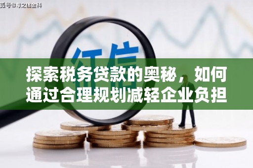 丹凤探索税务贷款的奥秘，如何通过合理规划减轻企业负担