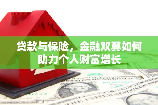 丹凤贷款与保险，金融双翼如何助力个人财富增长