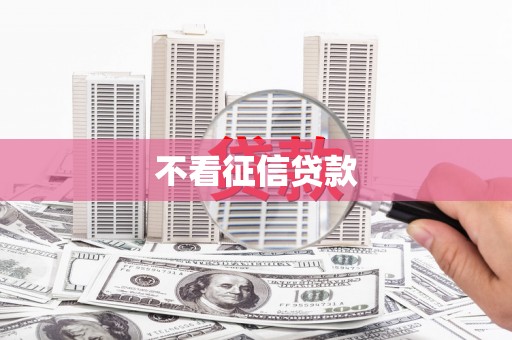 丹凤不看征信贷款