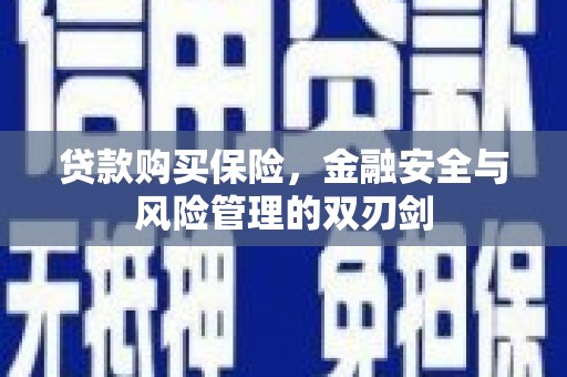 丹凤贷款购买保险，金融安全与风险管理的双刃剑