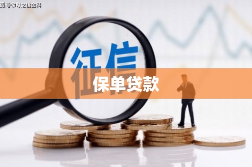 丹凤保单贷款