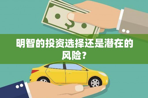 丹凤明智的投资选择还是潜在的风险？