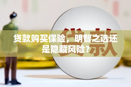 丹凤贷款购买保险，明智之选还是隐藏风险？