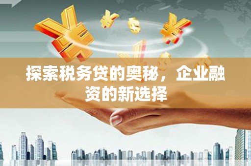丹凤探索税务贷的奥秘，企业融资的新选择
