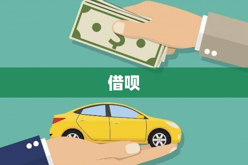 丹凤借呗