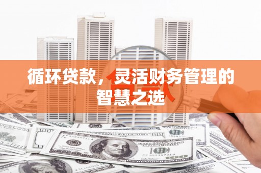 丹凤循环贷款，灵活财务管理的智慧之选