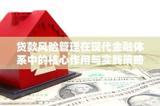 丹凤贷款风险管理在现代金融体系中的核心作用与实践策略