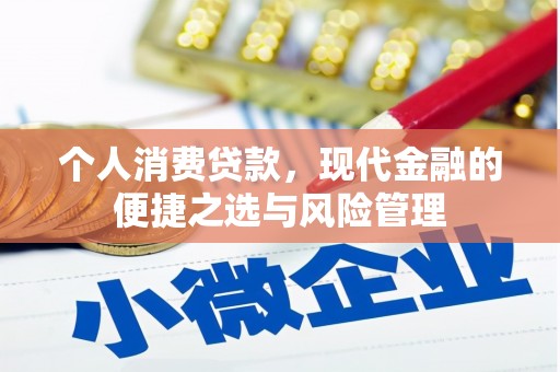 丹凤个人消费贷款，现代金融的便捷之选与风险管理