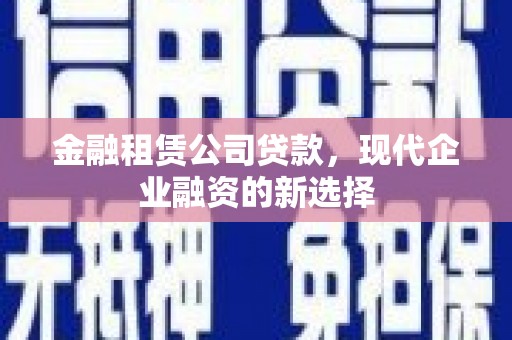 丹凤金融租赁公司贷款，现代企业融资的新选择