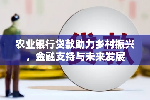 丹凤农业银行贷款助力乡村振兴，金融支持与未来发展