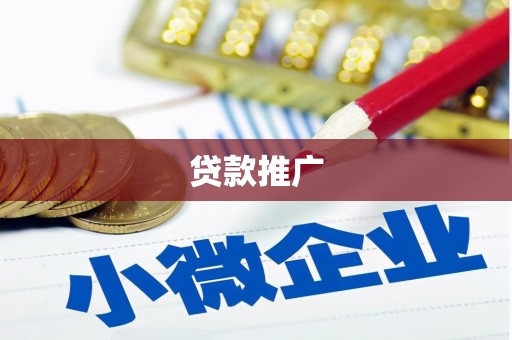 丹凤贷款推广