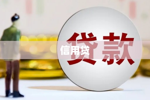 丹凤信用贷