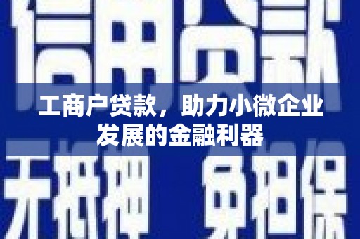 丹凤工商户贷款，助力小微企业发展的金融利器