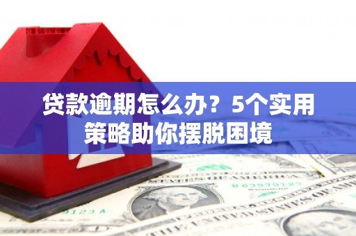 丹凤贷款逾期怎么办？5个实用策略助你摆脱困境