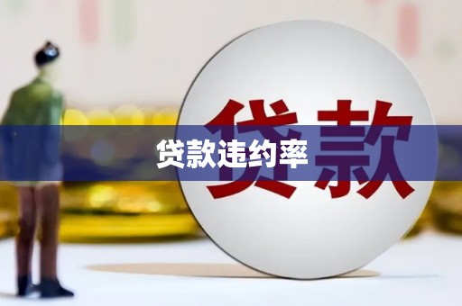 丹凤贷款违约率