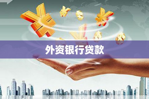 丹凤外资银行贷款