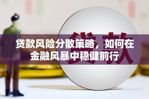丹凤贷款风险分散策略，如何在金融风暴中稳健前行