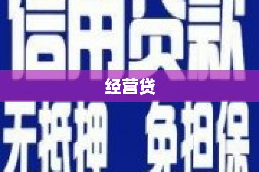 丹凤经营贷