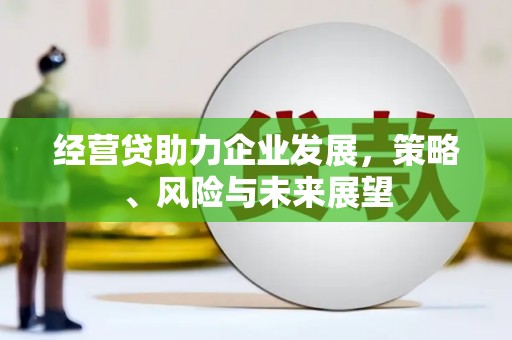 丹凤经营贷助力企业发展，策略、风险与未来展望