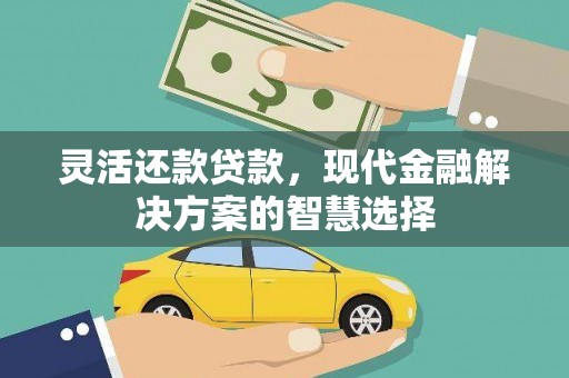 丹凤灵活还款贷款，现代金融解决方案的智慧选择